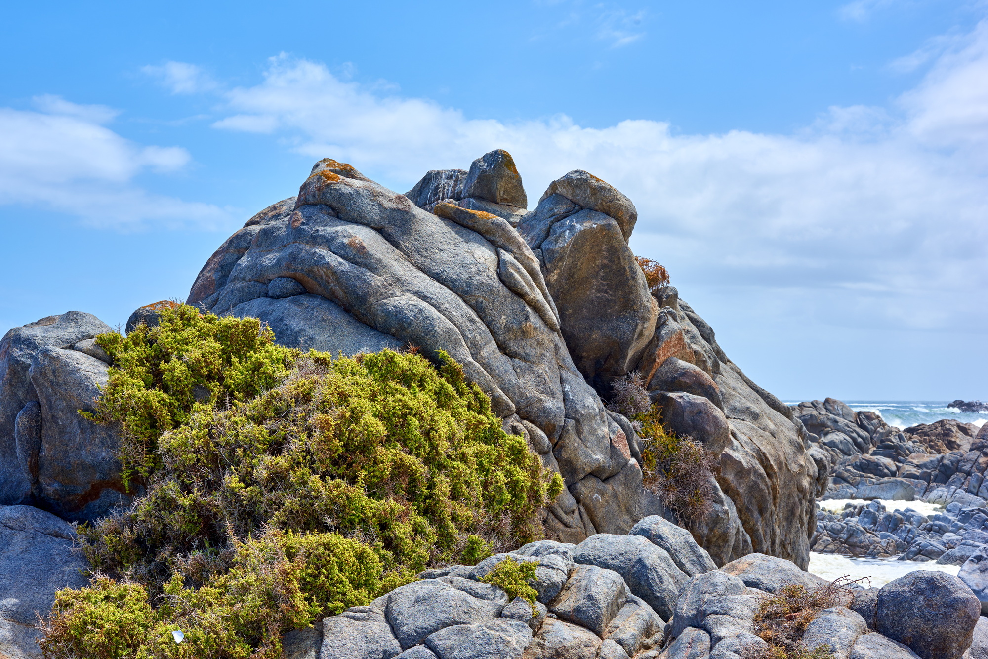 Coastal area close to Cape Twon - Western Cape