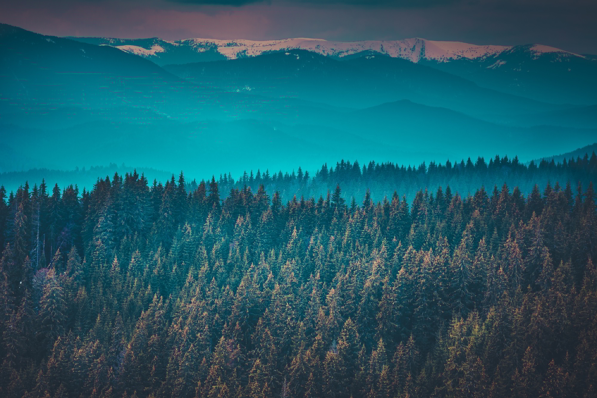 Fantastic mountain peaks and forest