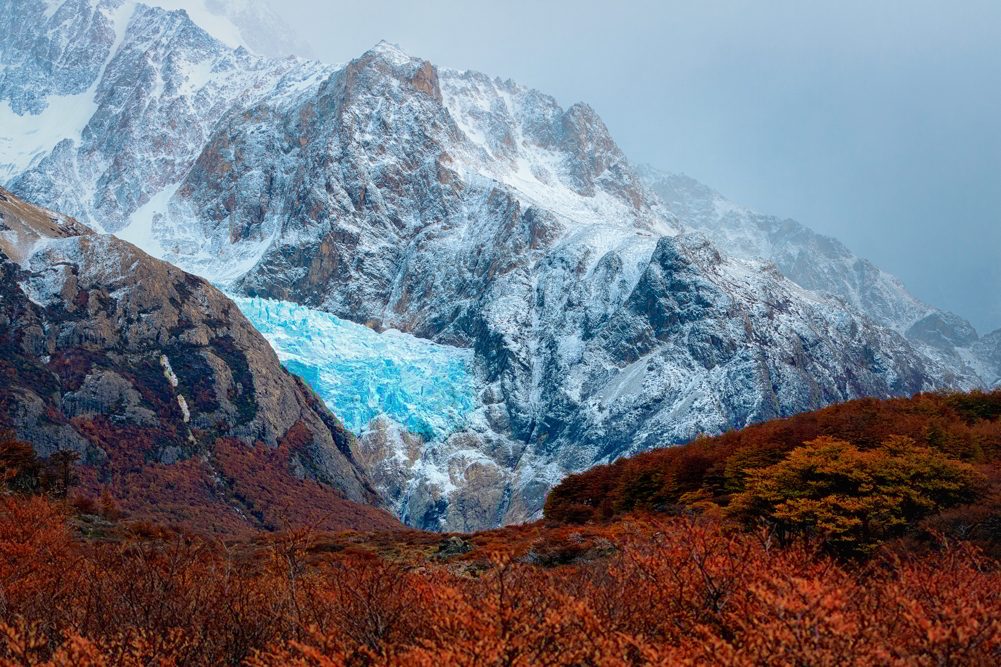 Glaciar Piedras Blancas and beech trees. Los Glaciares National Park. Santa Cruz Province. Patagonia